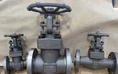 Globe Valves